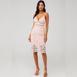 Bardot Botanica Lace Dress in Melon Size 8